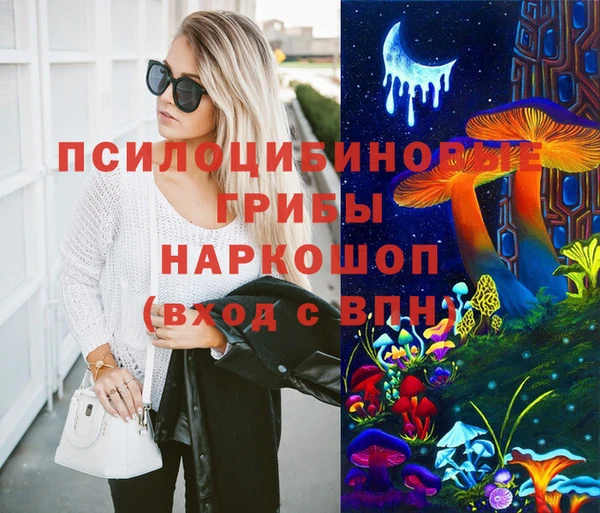 мяу мяу кристалл Няндома