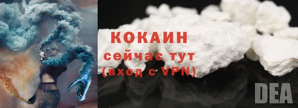 дмт Нягань