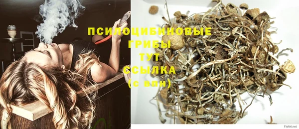 мяу мяу мука Нязепетровск