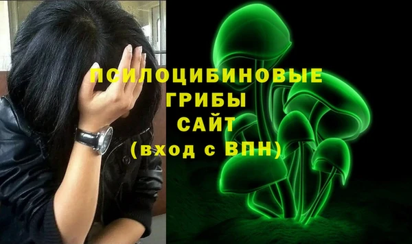 дмт Нягань