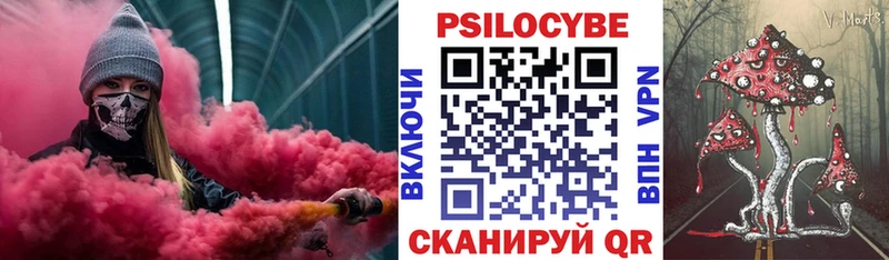 Псилоцибиновые грибы Psilocybe  хочу   Шлиссельбург 